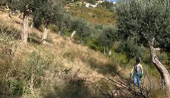 Forcelle Al Sole * Roccantica
